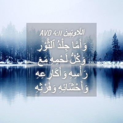 Picture 04 - اَللَّاوِيِّينَ 4:11 AVD - وَأَمَّا جِلْدُ ٱلثَّوْرِ - Bible Verse Picture