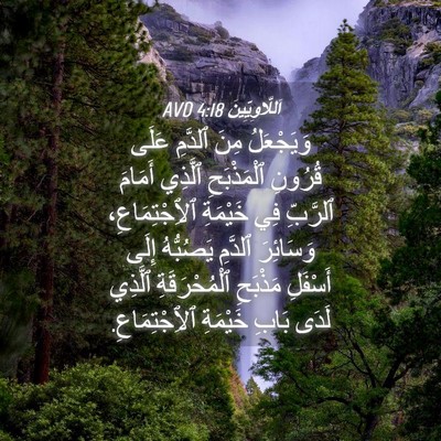 Picture 04 - اَللَّاوِيِّينَ 4:18 AVD - وَيَجْعَلُ مِنَ ٱلدَّمِ - Bible Verse Picture