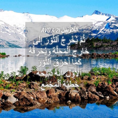 Picture 04 - اَللَّاوِيِّينَ 4:21 AVD - ثُمَّ يُخْرِجُ ٱلثَّوْرَ - Bible Verse Picture