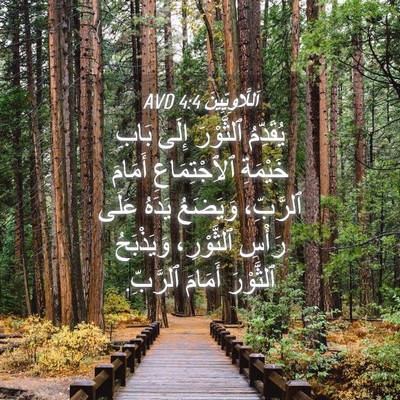 Picture 04 - اَللَّاوِيِّينَ 4:4 AVD - يُقَدِّمُ ٱلثَّوْرَ إِلَى - Bible Verse Picture