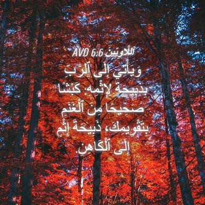 Picture 04 - اَللَّاوِيِّينَ 6:6 AVD - وَيَأْتِي إِلَى ٱلرَّبِّ - Bible Verse Picture