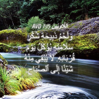 Picture 04 - اَللَّاوِيِّينَ 7:15 AVD - وَلَحْمُ ذَبِيحَةِ شُكْرِ - Bible Verse Picture