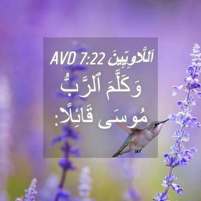 Picture 04 - اَللَّاوِيِّينَ 7:22 AVD - وَكَلَّمَ ٱلرَّبُّ مُوسَى - Bible Verse Picture