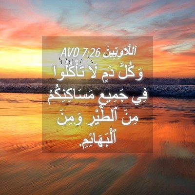 Picture 04 - اَللَّاوِيِّينَ 7:26 AVD - وَكُلَّ دَمٍ لَا - Bible Verse Picture