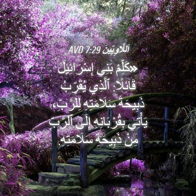 Picture 04 - اَللَّاوِيِّينَ 7:29 AVD - «كَلِّمْ بَنِي - Bible Verse Picture