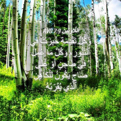 Picture 04 - اَللَّاوِيِّينَ 7:9 AVD - وَكُلُّ تَقْدِمَةٍ - Bible Verse Picture