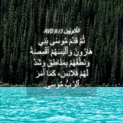Picture 04 - اَللَّاوِيِّينَ 8:13 AVD - ثُمَّ قَدَّمَ مُوسَى بَنِي - Bible Verse Picture