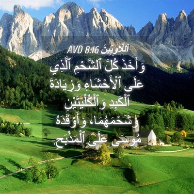 Picture 04 - اَللَّاوِيِّينَ 8:16 AVD - وَأَخَذَ كُلَّ ٱلشَّحْمِ - Bible Verse Picture