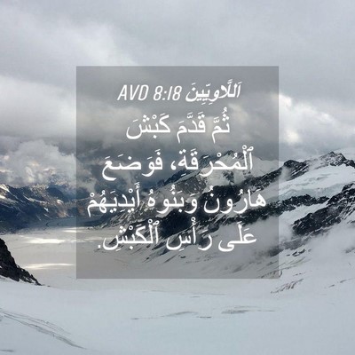 Picture 04 - اَللَّاوِيِّينَ 8:18 AVD - ثُمَّ قَدَّمَ كَبْشَ - Bible Verse Picture
