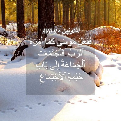Picture 04 - اَللَّاوِيِّينَ 8:4 AVD - فَفَعَلَ مُوسَى كَمَا - Bible Verse Picture