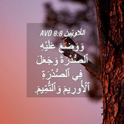 Picture 04 - اَللَّاوِيِّينَ 8:8 AVD - وَوَضَعَ عَلَيْهِ - Bible Verse Picture