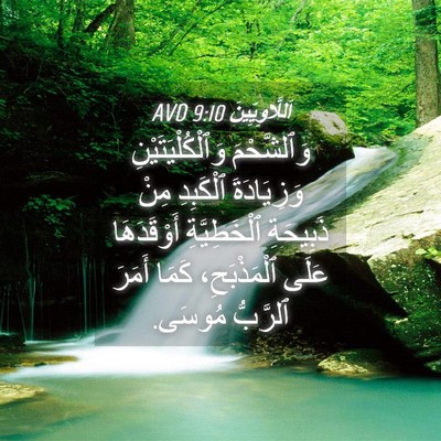 Picture 04 - اَللَّاوِيِّينَ 9:10 AVD - وَٱلشَّحْمَ - Bible Verse Picture