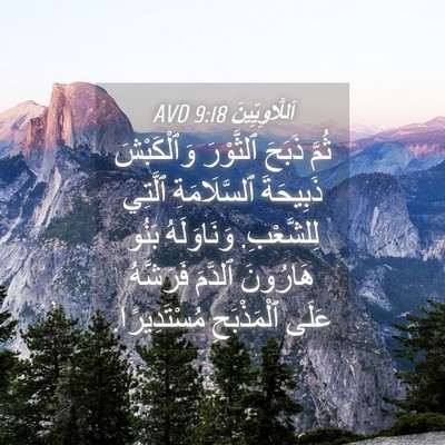 Picture 04 - اَللَّاوِيِّينَ 9:18 AVD - ثُمَّ ذَبَحَ ٱلثَّوْرَ - Bible Verse Picture