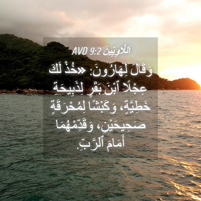 Picture 04 - اَللَّاوِيِّينَ 9:2 AVD - وَقَالَ لِهَارُونَ: «خُذْ - Bible Verse Picture
