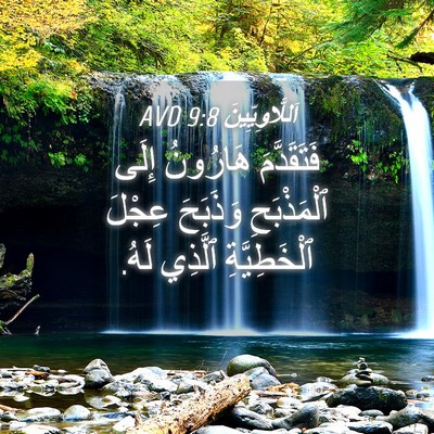Picture 04 - اَللَّاوِيِّينَ 9:8 AVD - فَتَقَدَّمَ هَارُونُ - Bible Verse Picture