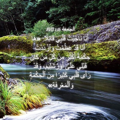 Picture 04 - اَلْجَامِعَةِ 1:16 AVD - أَنَا نَاجَيْتُ قَلْبِي - Bible Verse Picture