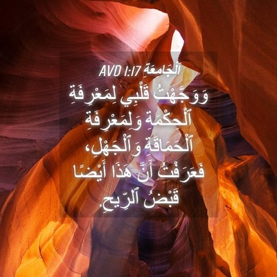 Picture 04 - اَلْجَامِعَةِ 1:17 AVD - وَوَجَّهْتُ قَلْبِي - Bible Verse Picture