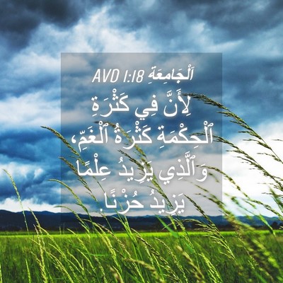Picture 04 - اَلْجَامِعَةِ 1:18 AVD - لِأَنَّ فِي كَثْرَةِ - Bible Verse Picture