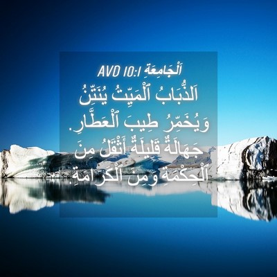 Picture 04 - اَلْجَامِعَةِ 10:1 AVD - اَلذُّبَابُ ٱلْمَيِّتُ - Bible Verse Picture