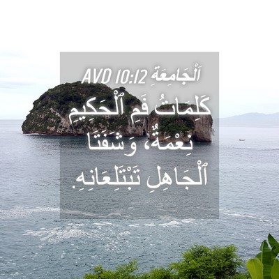 Picture 04 - اَلْجَامِعَةِ 10:12 AVD - كَلِمَاتُ فَمِ ٱلْحَكِيمِ - Bible Verse Picture