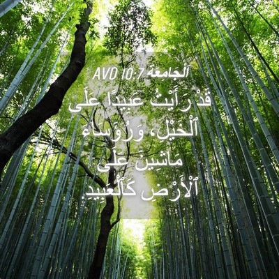 Picture 04 - اَلْجَامِعَةِ 10:7 AVD - قَدْ رَأَيْتُ عَبِيدًا - Bible Verse Picture