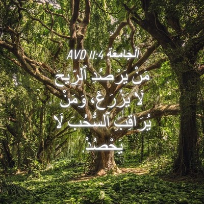 Picture 04 - اَلْجَامِعَةِ 11:4 AVD - مَنْ يَرْصُدِ ٱلرِّيحَ لَا - Bible Verse Picture