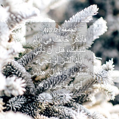 Picture 04 - اَلْجَامِعَةِ 12:1 AVD - فَٱذْكُرْ خَالِقَكَ فِي - Bible Verse Picture