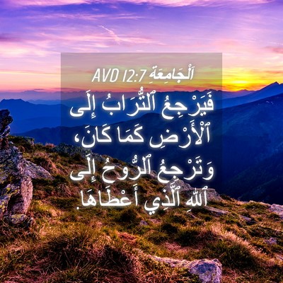 Picture 04 - اَلْجَامِعَةِ 12:7 AVD - فَيَرْجِعُ ٱلتُّرَابُ - Bible Verse Picture