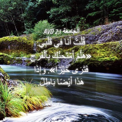 Picture 04 - اَلْجَامِعَةِ 2:1 AVD - قُلْتُ أَنَا فِي قَلْبِي: - Bible Verse Picture