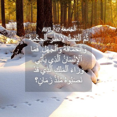 Picture 04 - اَلْجَامِعَةِ 2:12 AVD - ثُمَّ ٱلْتَفَتُّ - Bible Verse Picture