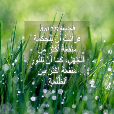 Picture 04 - اَلْجَامِعَةِ 2:13 AVD - فَرَأَيْتُ أَنَّ - Bible Verse Picture