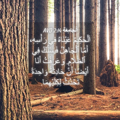 Picture 04 - اَلْجَامِعَةِ 2:14 AVD - اَلْحَكِيمُ عَيْنَاهُ فِي - Bible Verse Picture