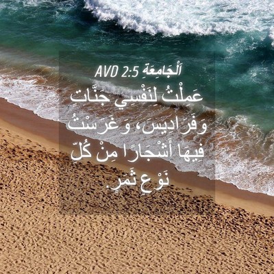 Picture 04 - اَلْجَامِعَةِ 2:5 AVD - عَمِلْتُ لِنَفْسِي - Bible Verse Picture