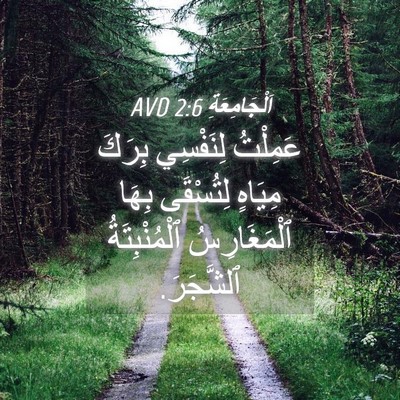 Picture 04 - اَلْجَامِعَةِ 2:6 AVD - عَمِلْتُ لِنَفْسِي بِرَكَ - Bible Verse Picture