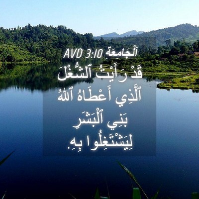 Picture 04 - اَلْجَامِعَةِ 3:10 AVD - قَدْ رَأَيْتُ ٱلشُّغْلَ - Bible Verse Picture