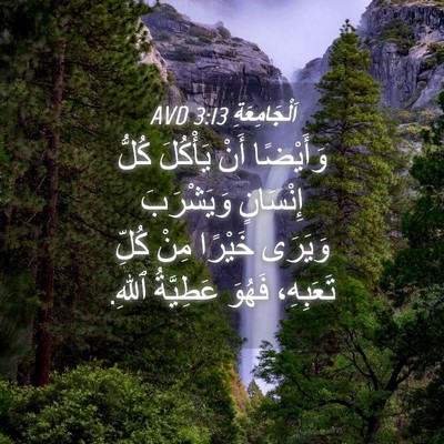 Picture 04 - اَلْجَامِعَةِ 3:13 AVD - وَأَيْضًا أَنْ يَأْكُلَ - Bible Verse Picture