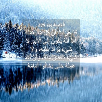 Picture 04 - اَلْجَامِعَةِ 3:14 AVD - قَدْ عَرَفْتُ أَنَّ كُلَّ - Bible Verse Picture