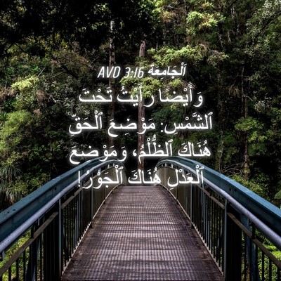 Picture 04 - اَلْجَامِعَةِ 3:16 AVD - وَأَيْضًا رَأَيْتُ تَحْتَ - Bible Verse Picture