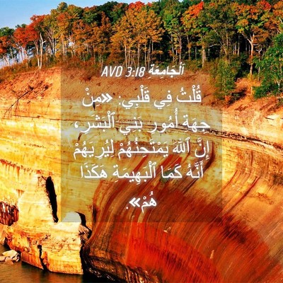 Picture 04 - اَلْجَامِعَةِ 3:18 AVD - قُلْتُ فِي قَلْبِي: «مِنْ - Bible Verse Picture
