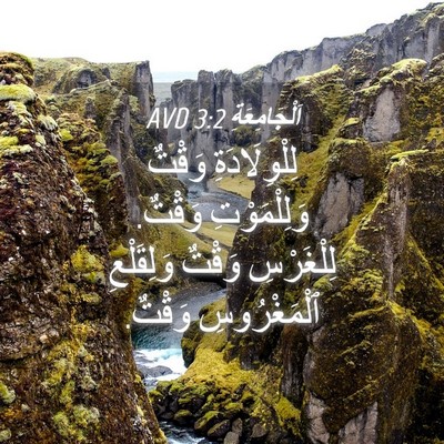 Picture 04 - اَلْجَامِعَةِ 3:2 AVD - لِلْوِلَادَةِ وَقْتٌ - Bible Verse Picture