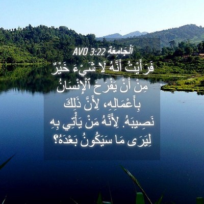 Picture 04 - اَلْجَامِعَةِ 3:22 AVD - فَرَأَيْتُ أَنَّهُ لَا - Bible Verse Picture