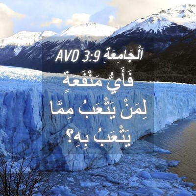 Picture 04 - اَلْجَامِعَةِ 3:9 AVD - فَأَيُّ مَنْفَعَةٍ لِمَنْ - Bible Verse Picture