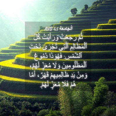 Picture 04 - اَلْجَامِعَةِ 4:1 AVD - ثُمَّ رَجَعْتُ وَرَأَيْتُ - Bible Verse Picture