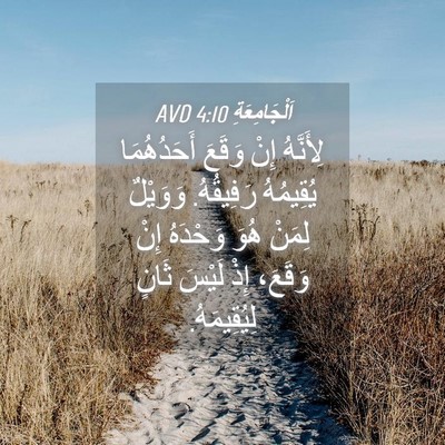 Picture 04 - اَلْجَامِعَةِ 4:10 AVD - لِأَنَّهُ إِنْ وَقَعَ - Bible Verse Picture