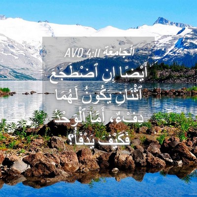 Picture 04 - اَلْجَامِعَةِ 4:11 AVD - أَيْضًا إِنِ ٱضْطَجَعَ - Bible Verse Picture