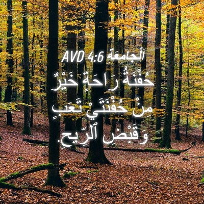 Picture 04 - اَلْجَامِعَةِ 4:6 AVD - حُفْنَةُ رَاحَةٍ خَيْرٌ - Bible Verse Picture
