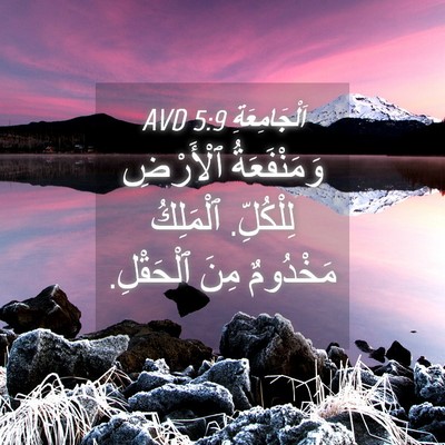 Picture 04 - اَلْجَامِعَةِ 5:9 AVD - وَمَنْفَعَةُ ٱلْأَرْضِ - Bible Verse Picture