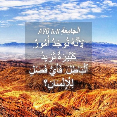 Picture 04 - اَلْجَامِعَةِ 6:11 AVD - لِأَنَّهُ تُوجَدُ أُمُورٌ - Bible Verse Picture