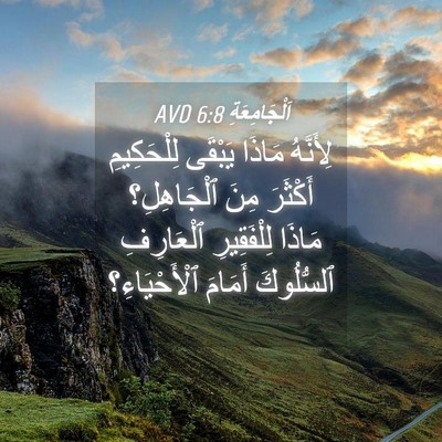 Picture 04 - اَلْجَامِعَةِ 6:8 AVD - لِأَنَّهُ مَاذَا يَبْقَى - Bible Verse Picture