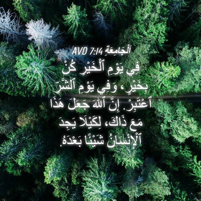 Picture 04 - اَلْجَامِعَةِ 7:14 AVD - فِي يَوْمِ ٱلْخَيْرِ كُنْ - Bible Verse Picture